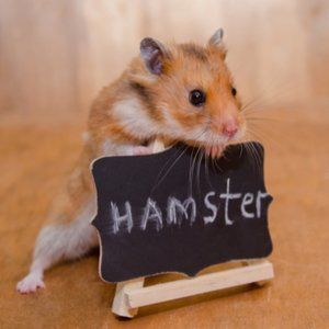 ignore for the trillionth time